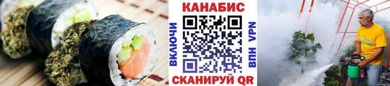 где купить наркотик  Куртамыш  гидра ССЫЛКА  даркнет официальный сайт  Cannafood конопля 