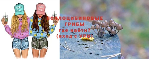 apvp Медногорск